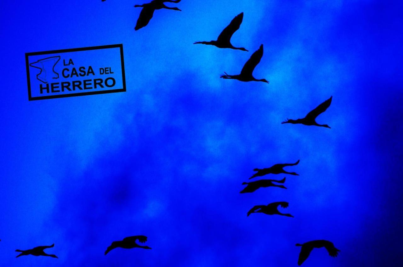 La Casa Del Herrero El Poyo Εξωτερικό φωτογραφία